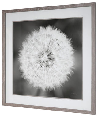 Uttermost Dandelion Seedhead Framed Print