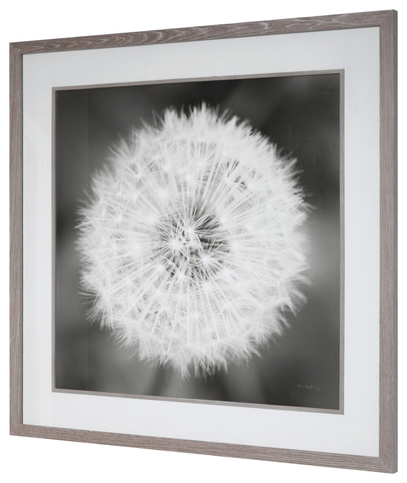 Uttermost Dandelion Seedhead Framed Print