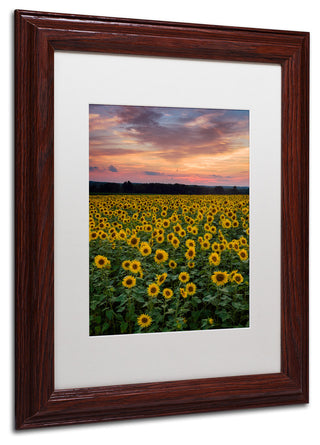 Blanchette Photography 'Sunflowers', Wood Frame, White Matte, 11"x14"