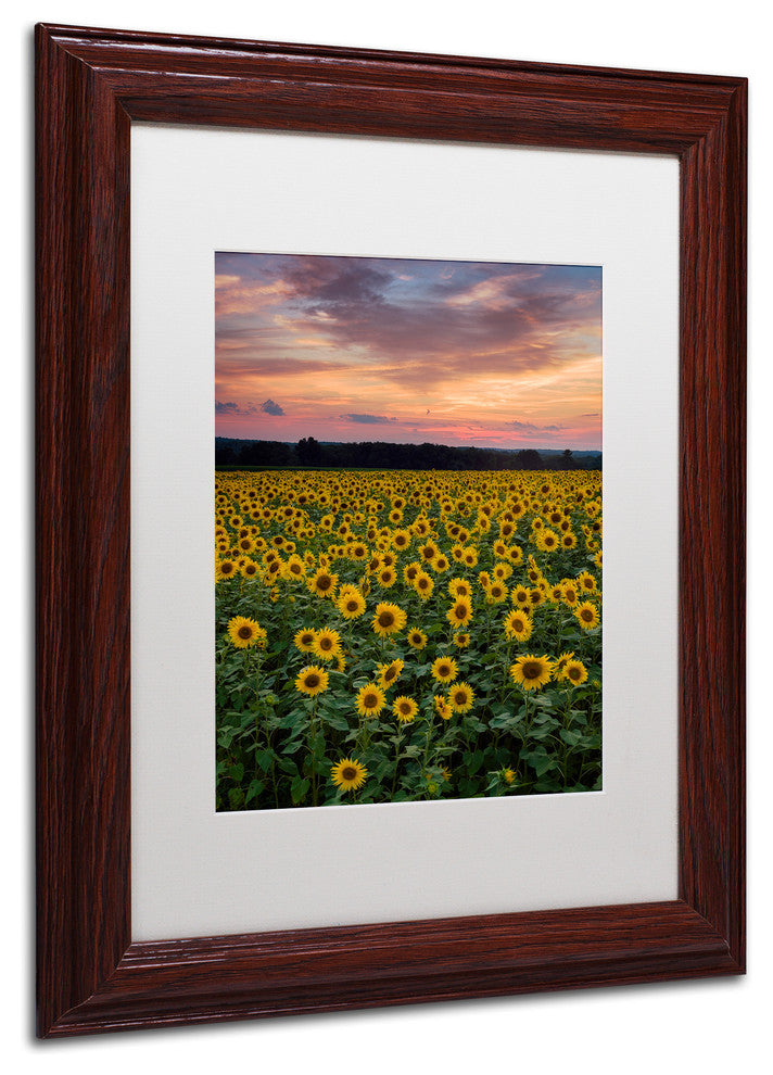 Blanchette Photography 'Sunflowers', Wood Frame, White Matte, 11"x14"