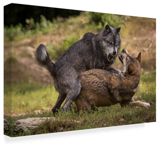 Sebastian Graf 'I Am The Boss' Canvas Art, 47"x30"