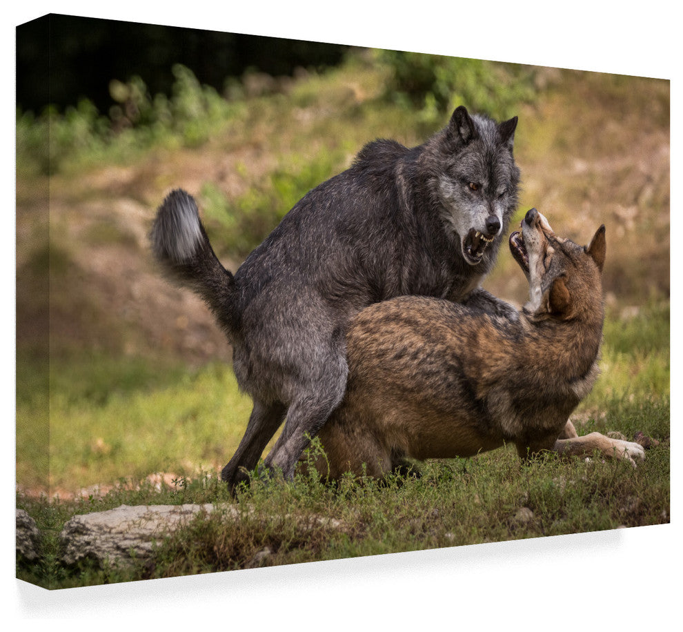 Sebastian Graf 'I Am The Boss' Canvas Art, 47"x30"