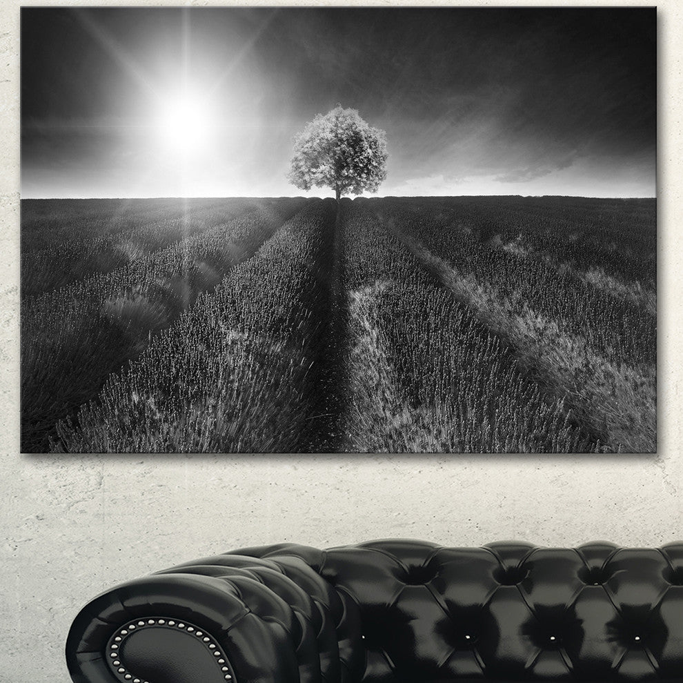 Beautiful Black White Lavender Field, Landscape Canvas Art, 40"x30"