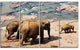 Parade of Elephants in Sri Lanka, Landscape Canvas Print, 48"x28", 4 Panels