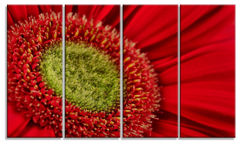 Red Daisy Gerbera Flower Close up, Flowers Canvas Artwork, 48"x28", 4 Panels