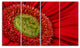Red Daisy Gerbera Flower Close up, Flowers Canvas Artwork, 48"x28", 4 Panels