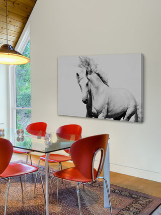 "Glorious Stallion" Painting Print, 18"x12"