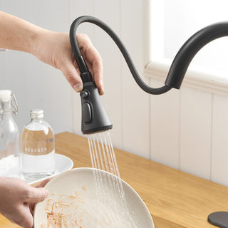 Wellfor Single Level Stainless Steel Kitchen Faucet With Pull Down Spray, Matte Black