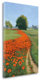 "Poppy Field" By Julie Peterson, Giclee Print on Gallery Wrap Canvas