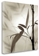 "Florison - 64" By Alan Blaustein, Giclee Print on Gallery Wrap Canvas