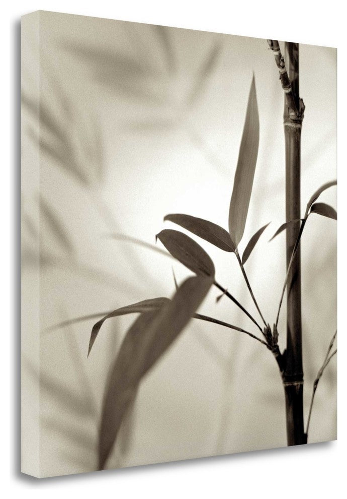 "Florison - 64" By Alan Blaustein, Giclee Print on Gallery Wrap Canvas