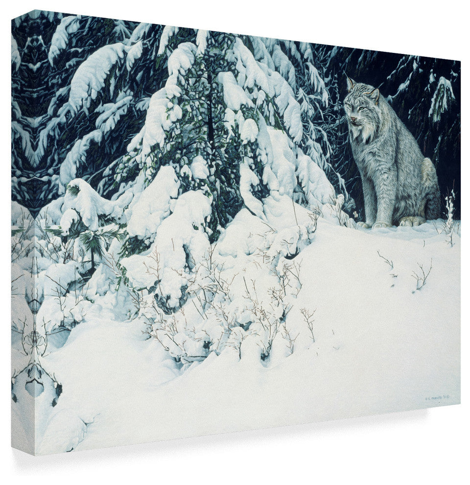 Ron Parker 'Silent Forest Lynx' Canvas Art, 19"x14"