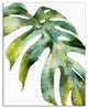 Watercolor Palm Leaf 24x30 Canvas Wall Art