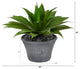 22" Agave Succulent Artificial Plant, Gray Planter
