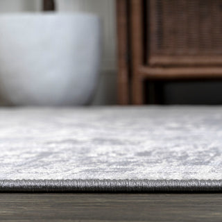 Modern Persian Vintage Medallion Light Gray 4'x6' Area Rug