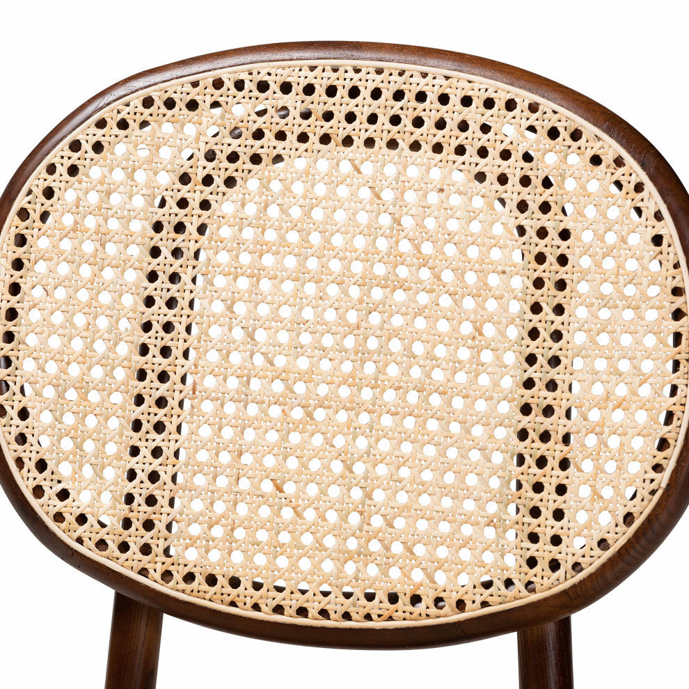 Marcella Mid-Century 2-Piece Dining Chairs, Walnut Brown