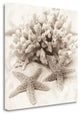 "La Mer 1" By Alan Blaustein, Giclee Print on Gallery Wrap Canvas, Ready to Hang