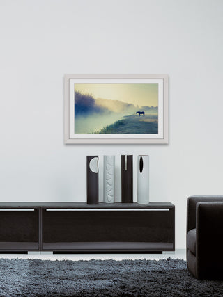 "Horse in the Fog" Framed Art Print