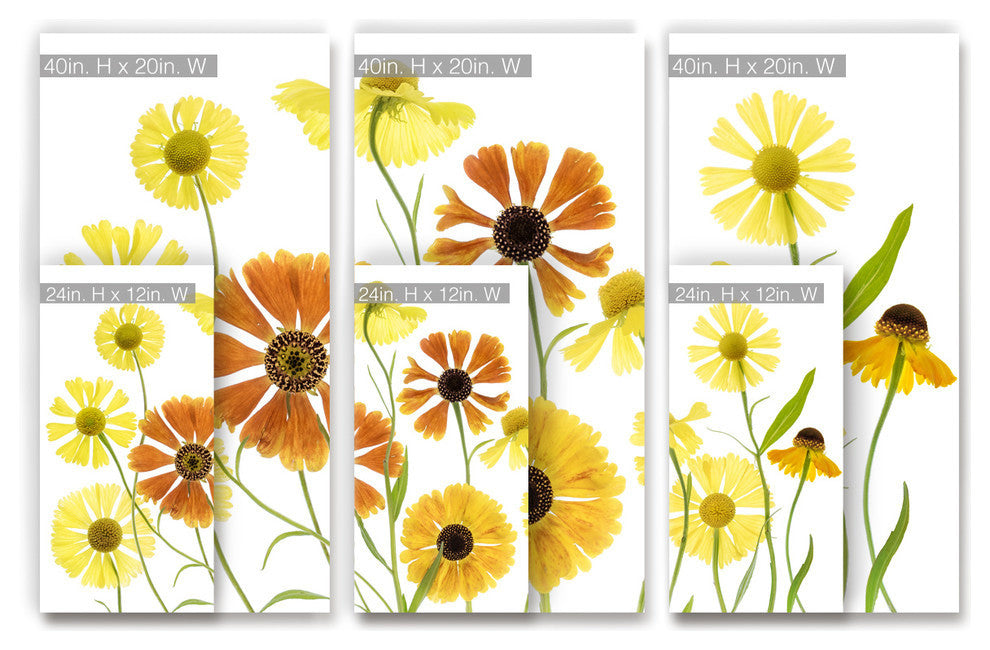 Ready2HangArt ''Helenium'' 3-Piece Canvas Wall Decor Set, 60"x40"