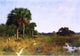 William Lamb Picknell Midwinter in Florida Wall Decal