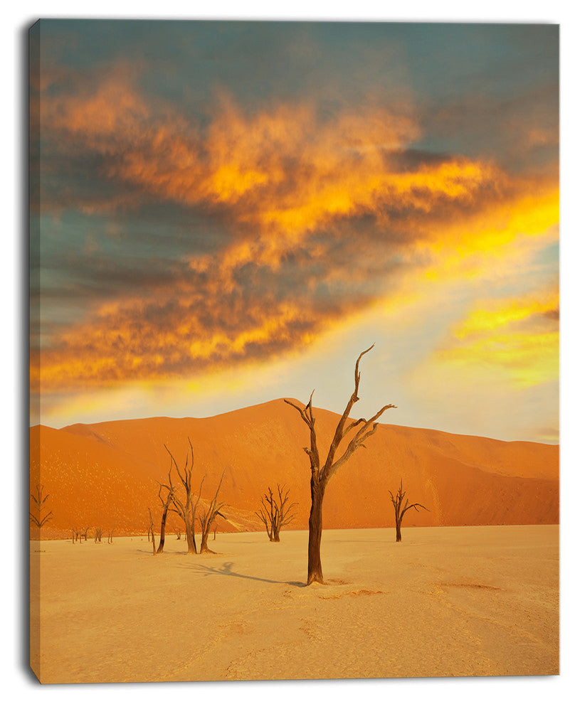 Colorful Death Valley with Dry Trees, African Landscape Canvas Print, 12"x20"