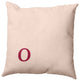 20"x20" Modern Monogram Decorative Throw Pillow, Cranberry