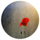 Lone Red Puppy Flower Under Lights, Flowers Round Metal Wall Art, 23"