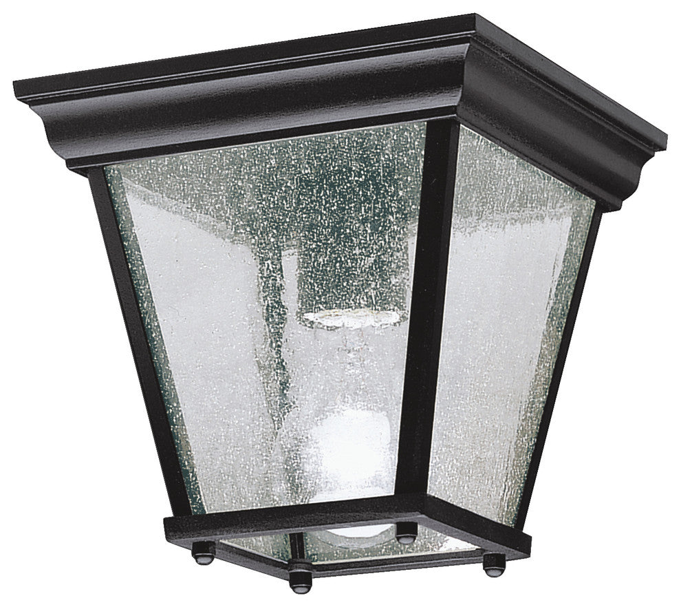 Outdoor Ceiling 1-Light, Black