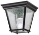 Outdoor Ceiling 1-Light, Black