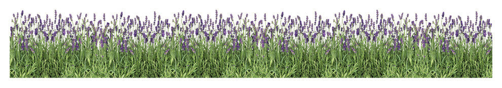 Lavender Border Decal