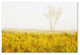 PIPA Fine Art 'Dreams of Goldenrod and Fog' Canvas Art, 47x30