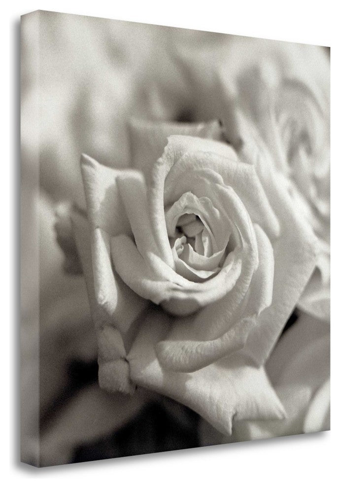 "Florison - 30" By Alan Blaustein, Giclee Print on Gallery Wrap Canvas