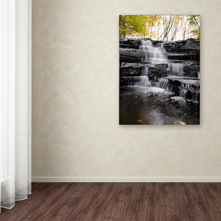 'Waterfall at Lake View' Canvas Art by Kurt Shaffer