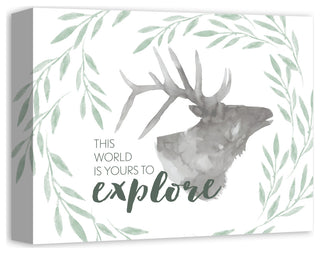 Yours To Explore Elk 14x11 Canvas Wall Art