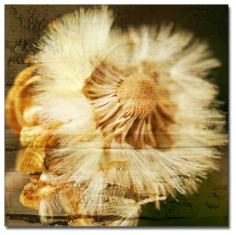 Pom Flower Canvas Wall Art