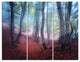 "Mysterious Fairytale Green Wood" Photo Metal Wall Art, 3 Panels, 36"x28"