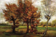 Autumn Landscape with Four Trees- Fine Art Giclee Print 24" x 36"
