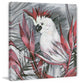 "White Cockatoo I" Painting Print on Wrapped Canvas, 40"x40"