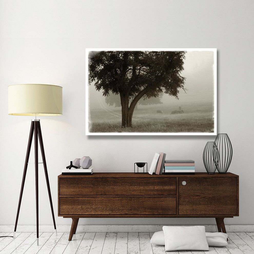 "Calm Mist no Limb" Digital Paper Print by Debra Van Swearingen, 62"x42"