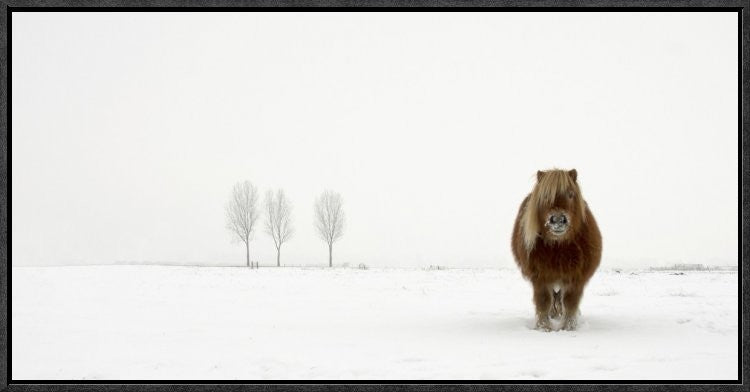"The Cold Pony" Framed Canvas Giclee by Gert Van Den, 25x13"