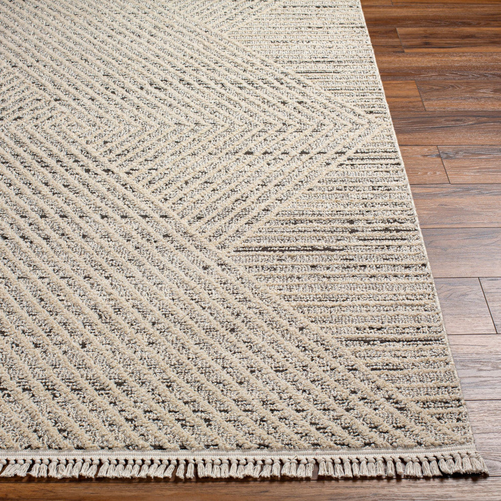 Berlin BLR-2302 Machine Woven Area Rug, 6'7" X 9'