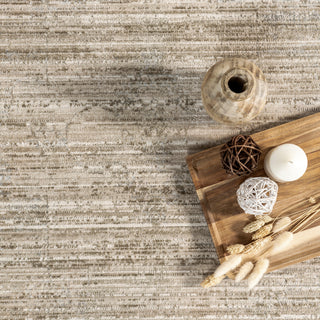 Nuloom Lotus Vintage Machine Washable Indoor/Outdoor Area Rug, Beige 4'x6'