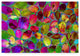 "Color Explosion 17" by Ata Alishahi, Canvas Art, 22"x32"