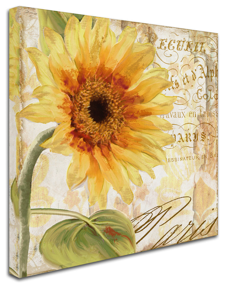 Color Bakery 'Ete I' Canvas Art, 24"x24"