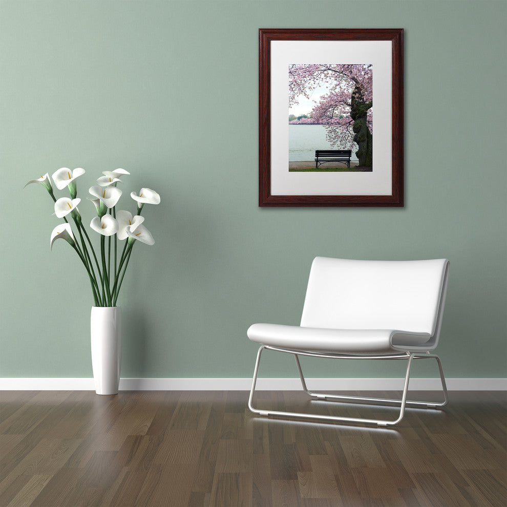 CATeyes 'Tranquility' Matted Framed Art, 16x20