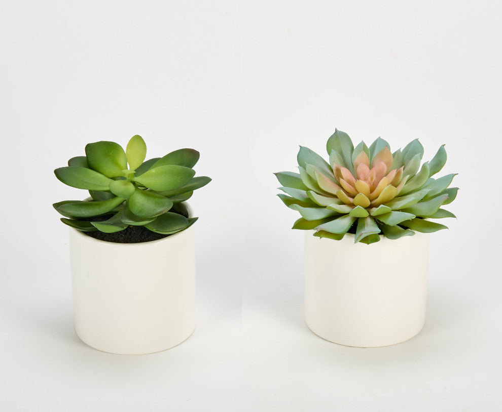 9" Artificial Succulent In White Ceramic Pot, Set Of 2