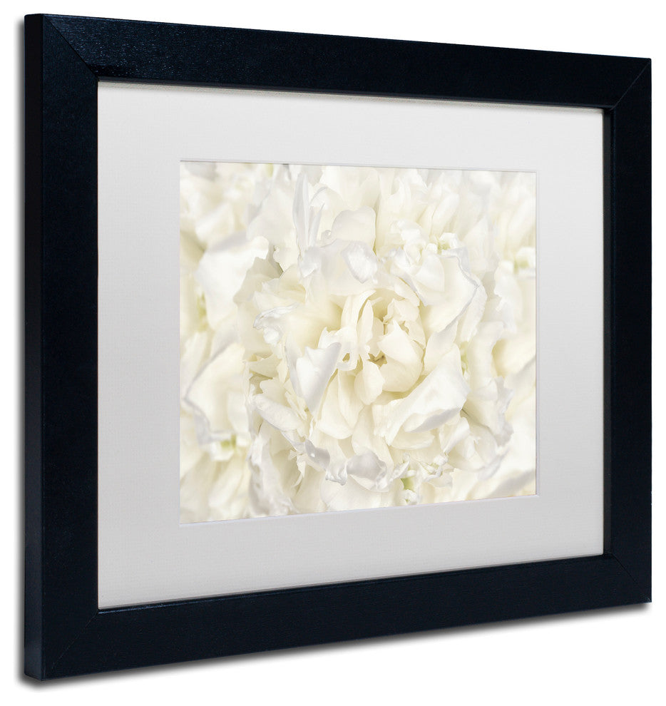 Cora Niele 'White Peony Flower' Matted Framed Art