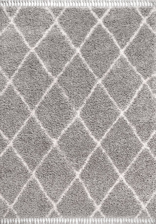 Mercer Shag Plush Tassel Moroccan Geometric Trellis Area Rug, Grey/Cream, 8 X 10