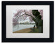 CATeyes 'Arched Blossoms' Matted Framed Art, 11x14