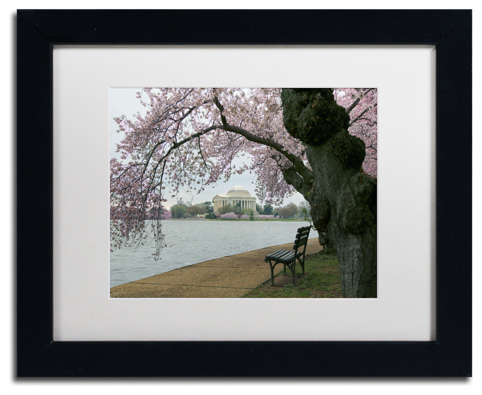 CATeyes 'Arched Blossoms' Matted Framed Art, 11x14